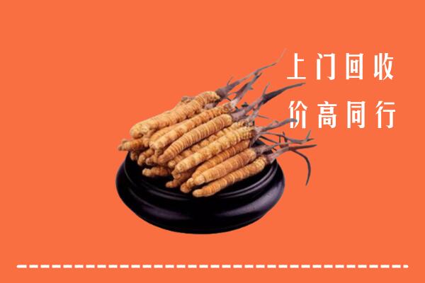 收购行情：高密市冬虫夏草回收多少钱每克