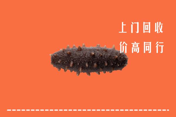 高密市回收海参