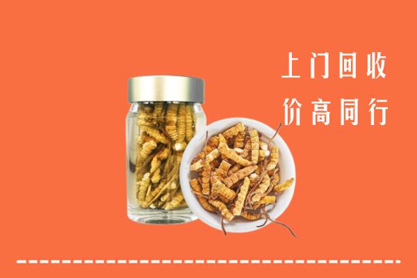 高密市回收冬虫夏草
