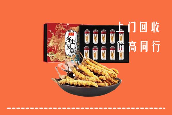 高密市回收虫草